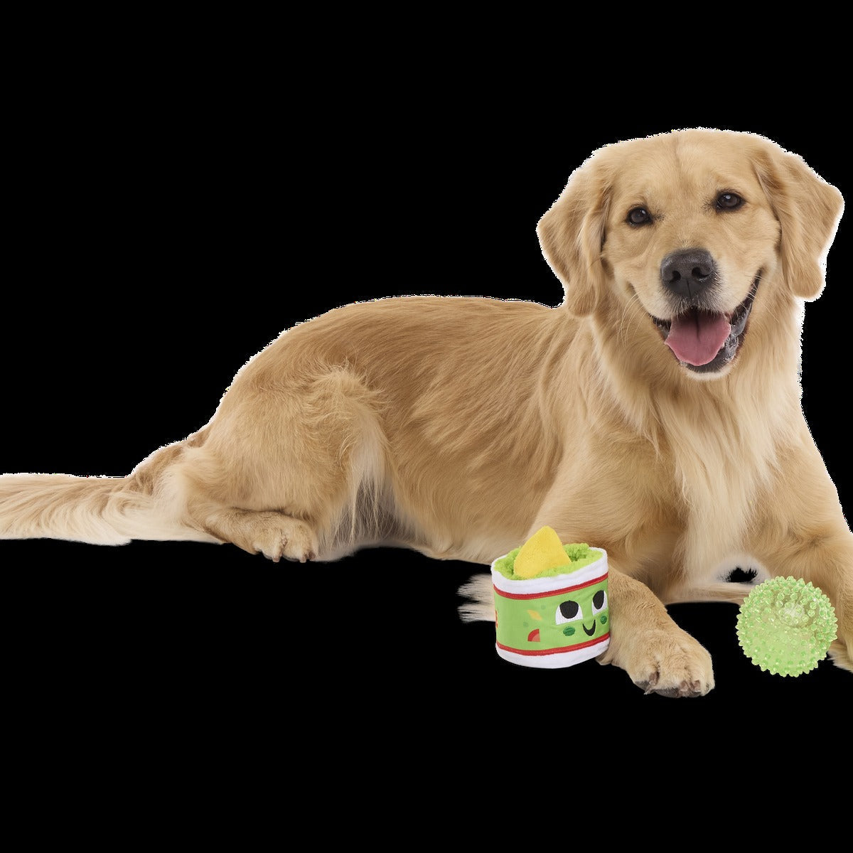 Guac A-Molly Plush Multi-Part + Fetch + Enrichment Dog Toy