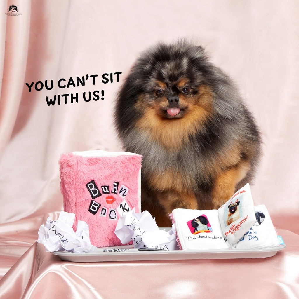 Burn Book Plush Tug + Enrichment Dog Toy