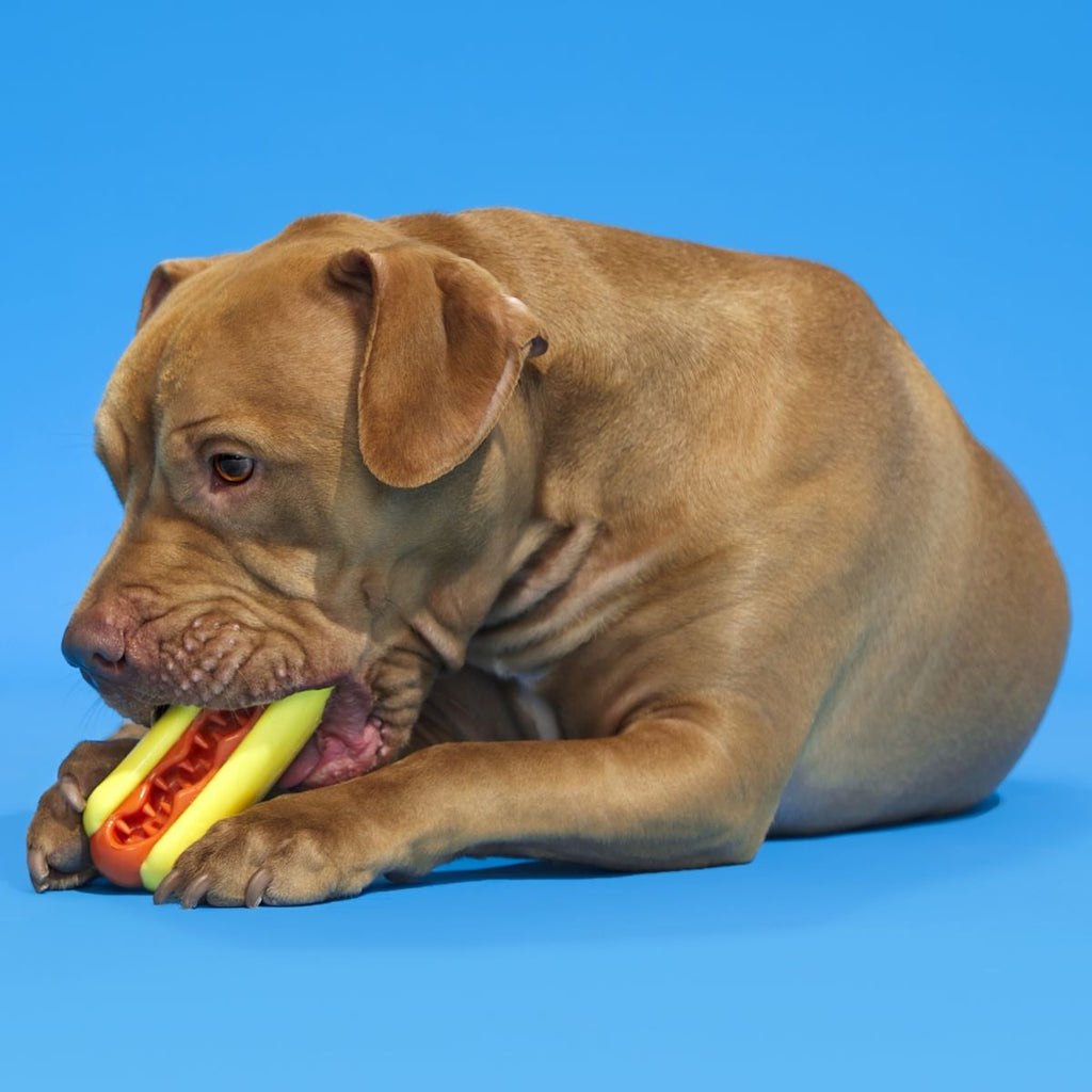Treat Meat Hotdog Super Chewer Durable Enrichment Dog Toy
