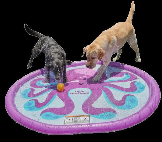 FUNBOY Water Toy