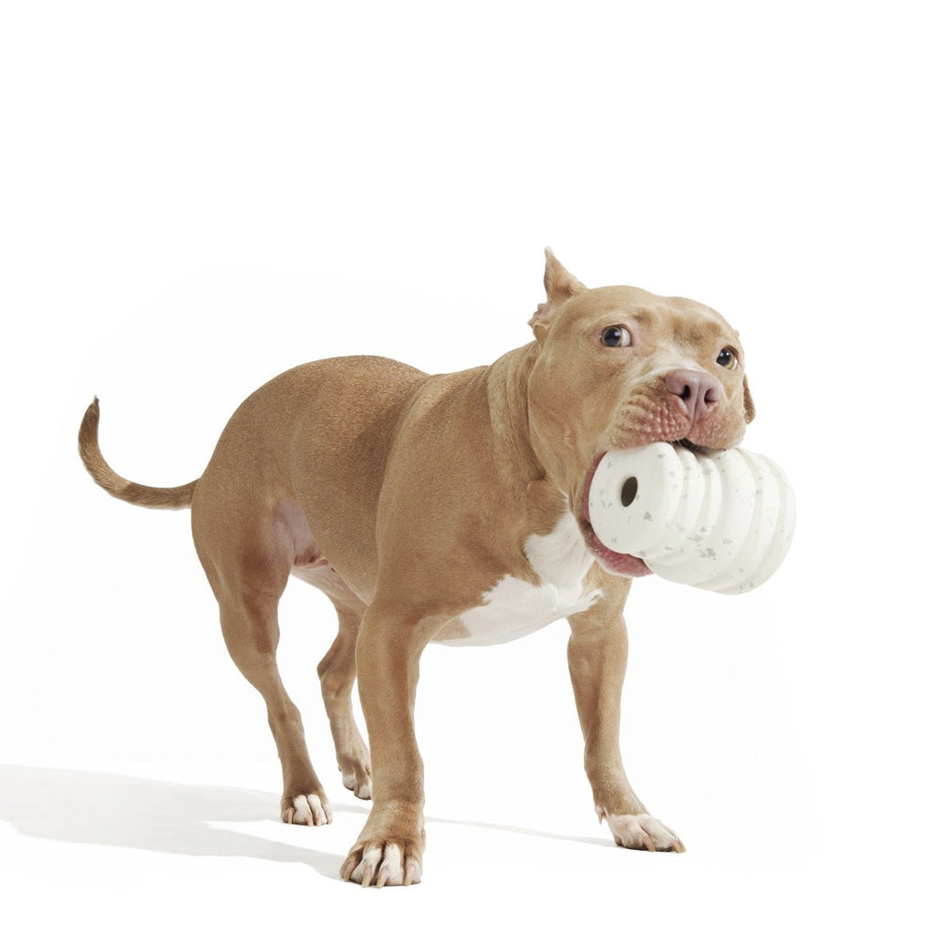 Tough Stuffed Cake Sweet Treater Super Chewer Durable Enrichment Dog Toy