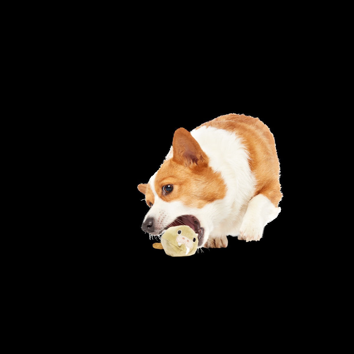 Full Belly Wally Super Chewer Durable 2-in-1 Dog Toy