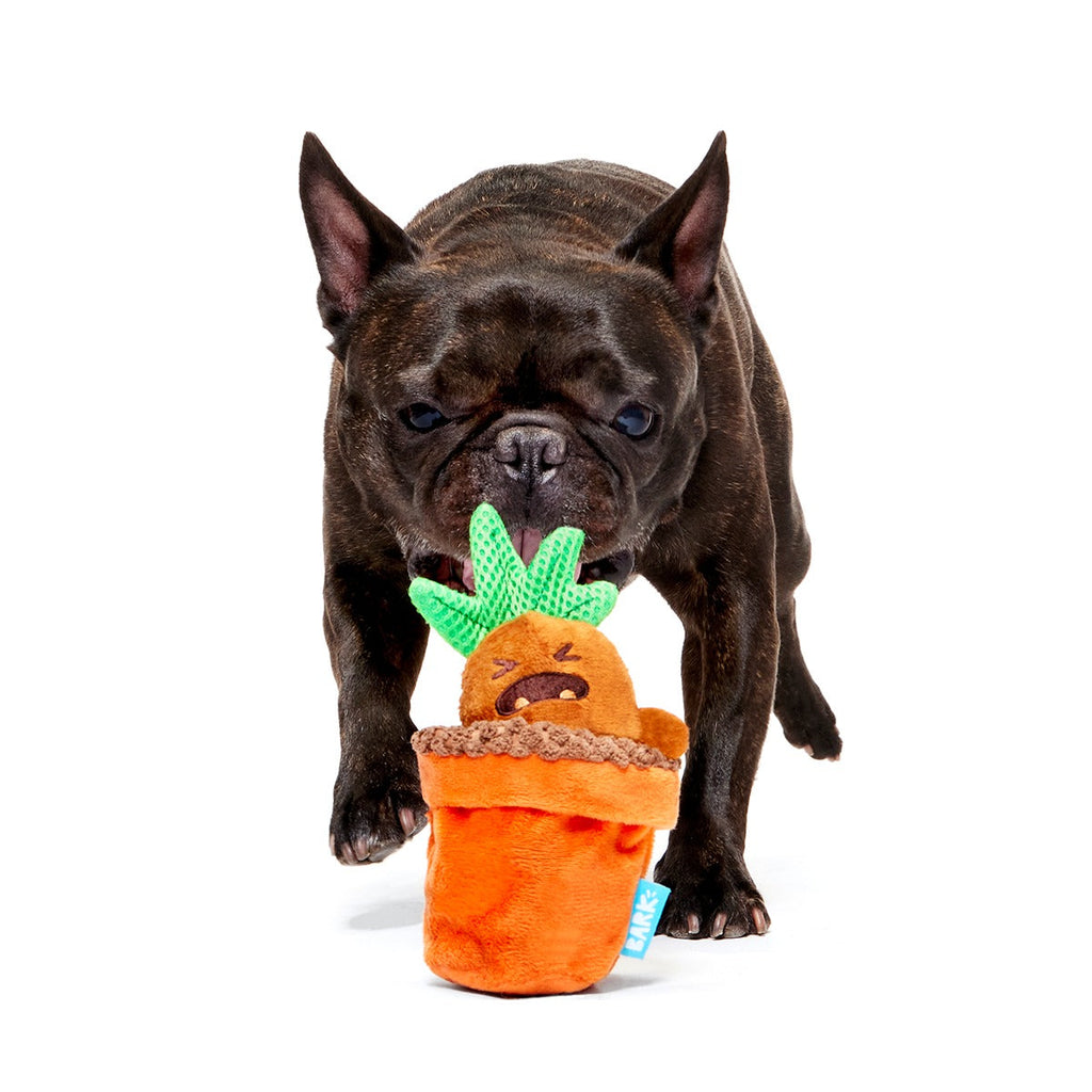 MandrakeTM Plush Tug + Multi-Part Dog Toy
