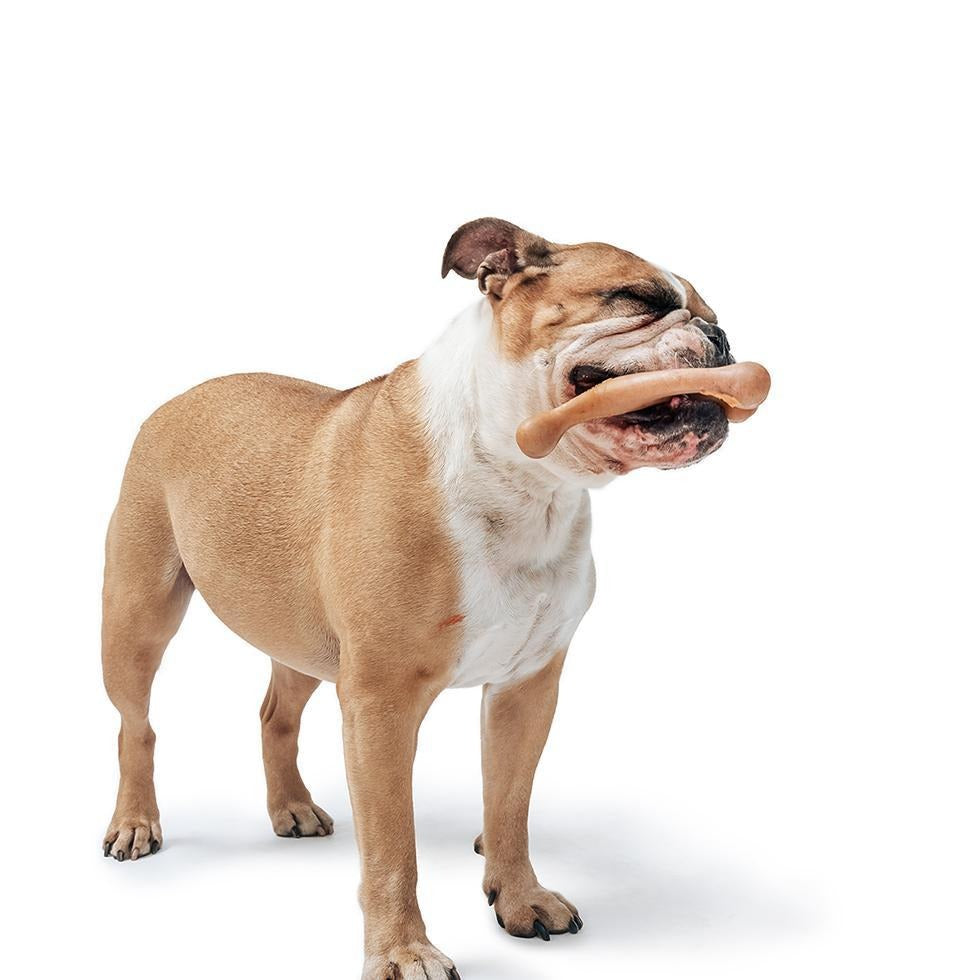Bacon Benebone Durable Super Chewer Dog Toy