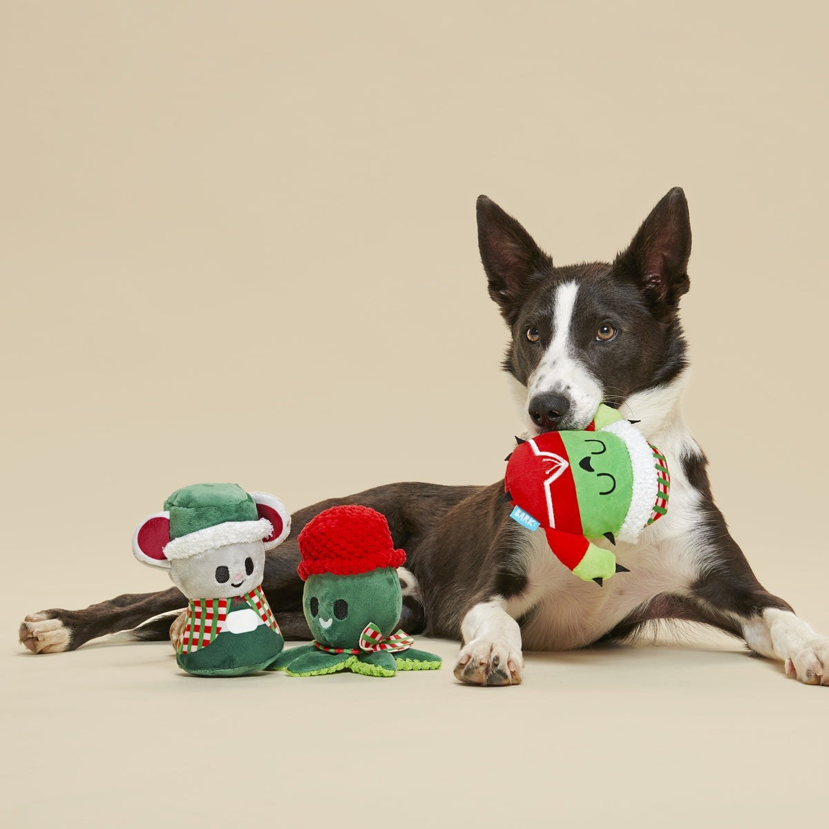 Sing Song Ding Dongs Multipart Plush Multi-Part Dog Toy