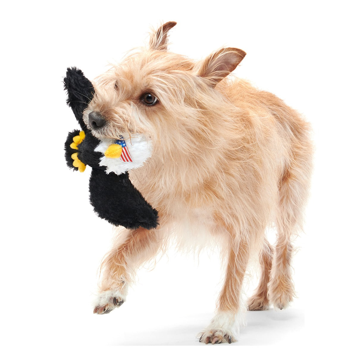 Bold Eagle Plush Tug Dog Toy