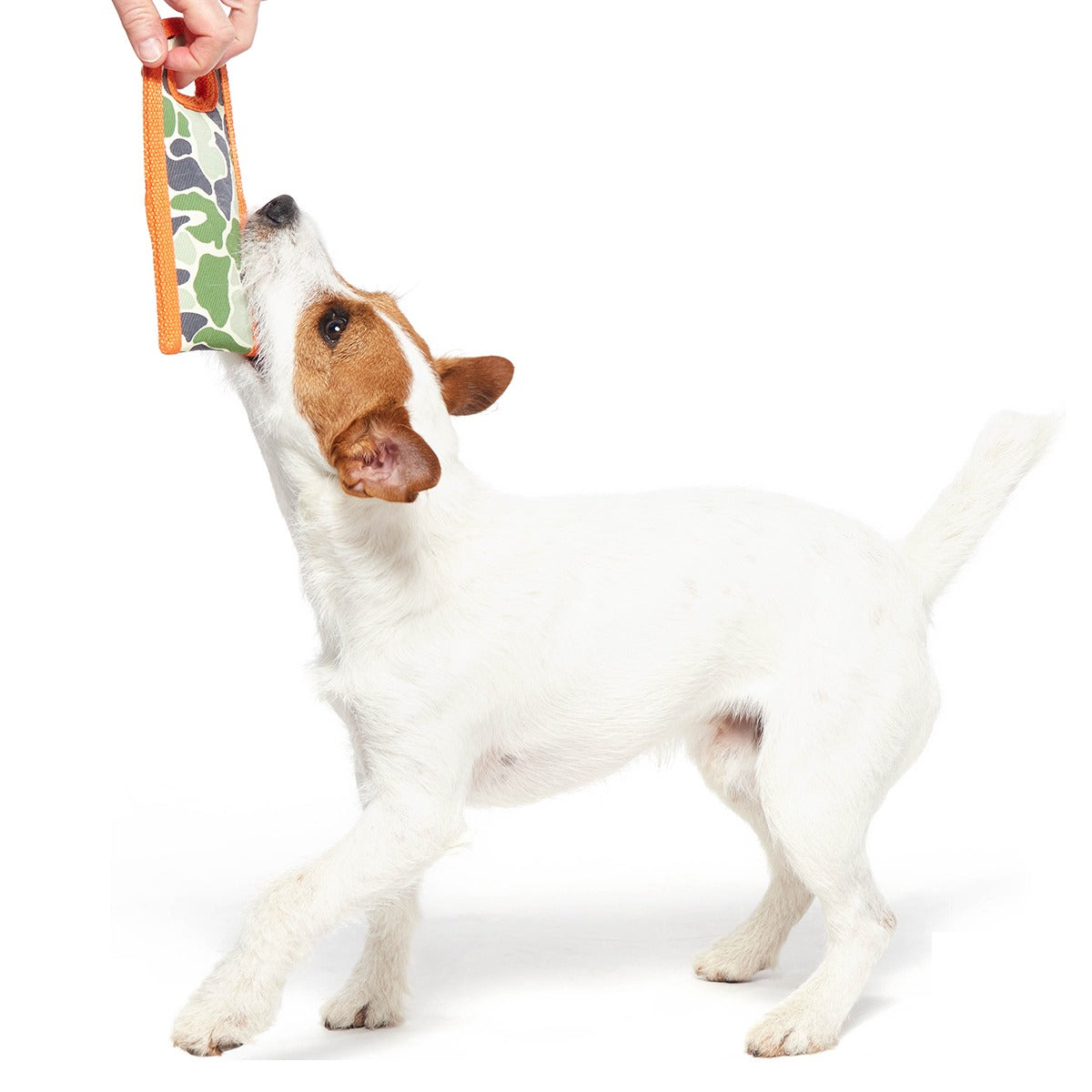 Ruffhouse Camo Tug Super Chewer Durable Dog Toy