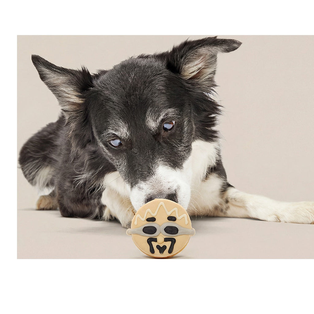 Frosted Tips Barkery Dog Cookie Vegetarian, 1.8 oz