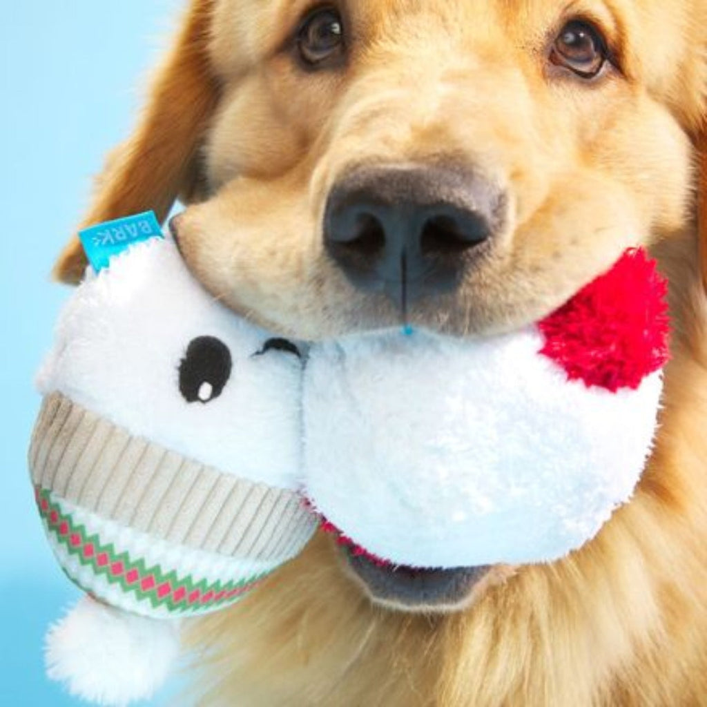 Ice, Ice, and Baby Plush Multi-Part Dog Toy