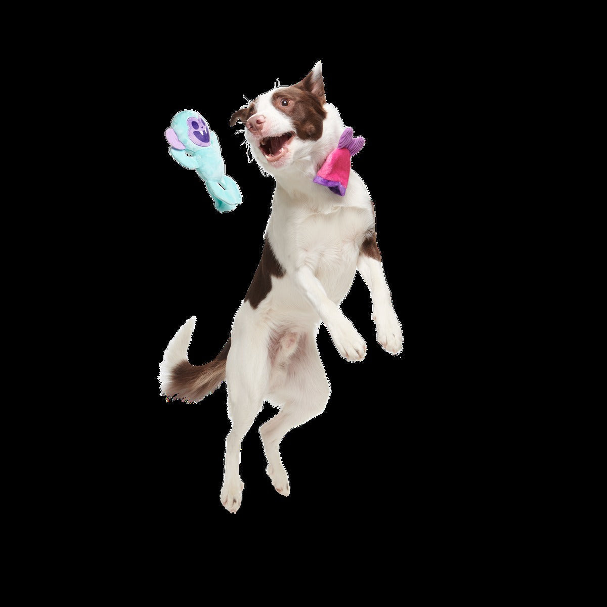 Gigi the Fiji Mermaid Plush Multi-Part + Enrichment Dog Toy