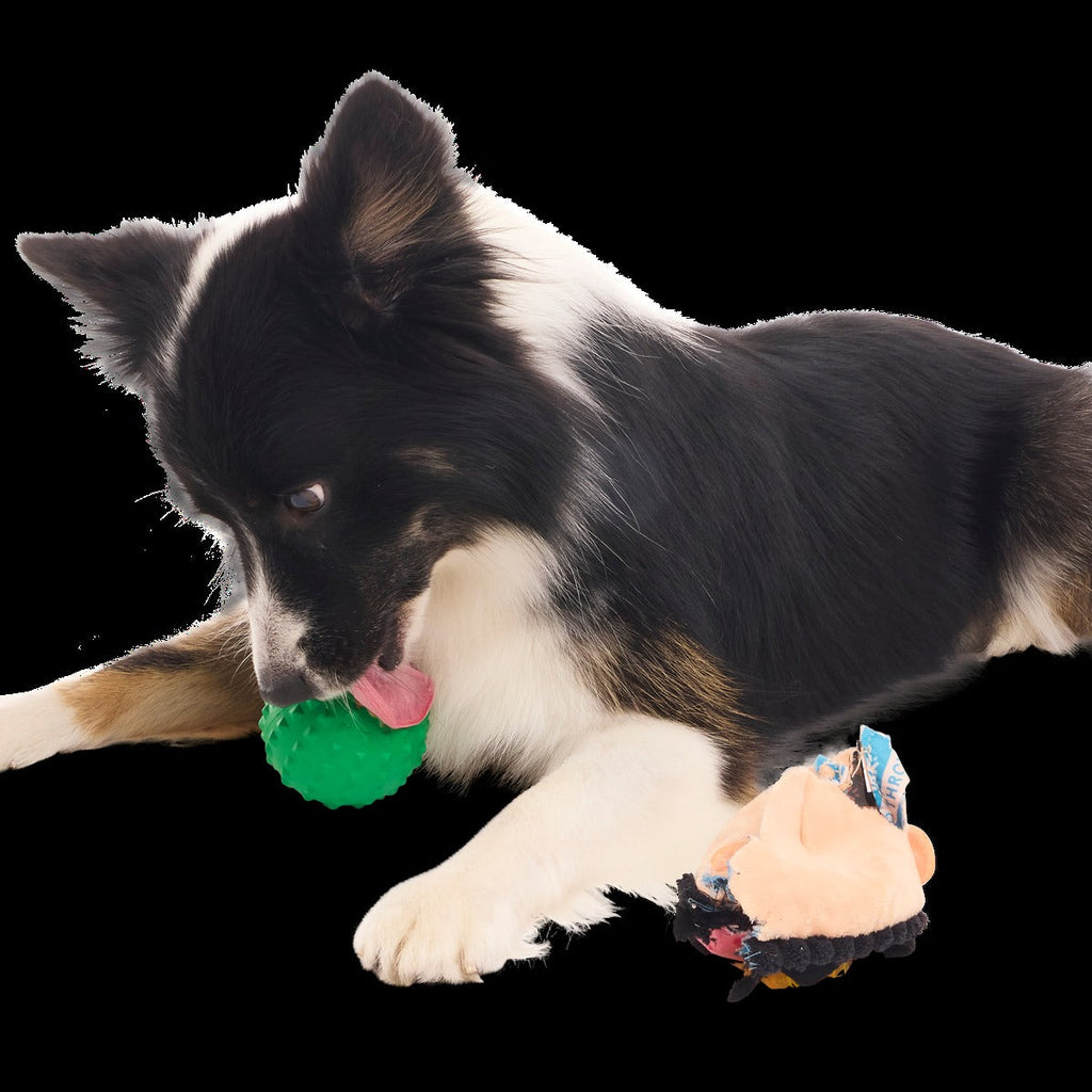 Hot-Headed Harry Super Chewer Durable 2-in-1 + Fetch Dog Toy