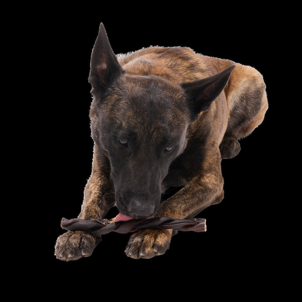 Beef Braided Collagen Dog Chew, Single, 9"