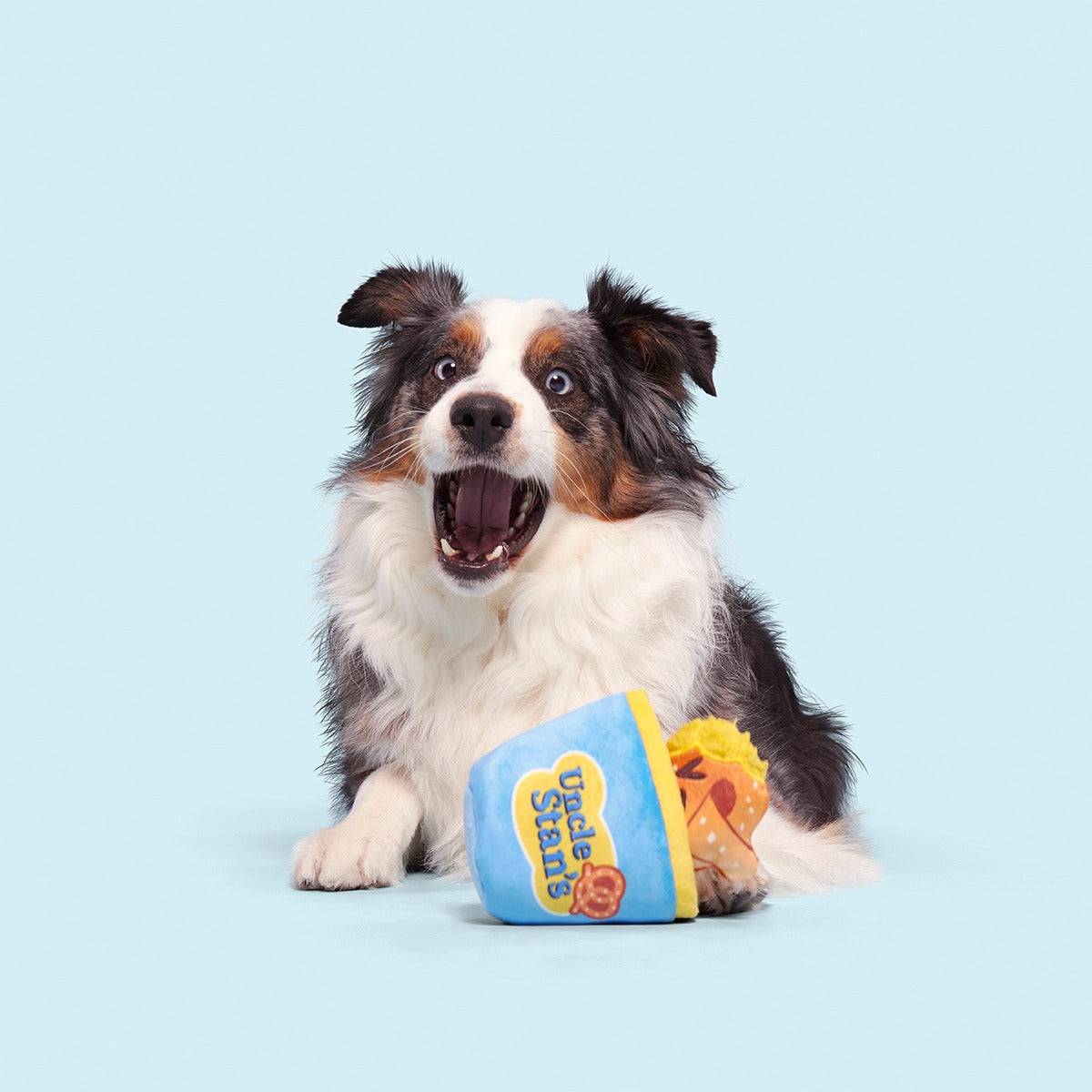 Salty Stan Plush Multi-Part + Enrichment Dog Toy