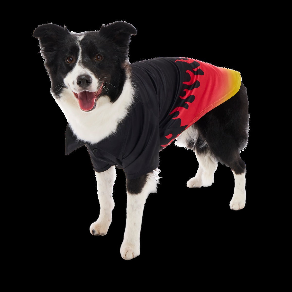 Flame Broiled Button-Down Dog Shirt