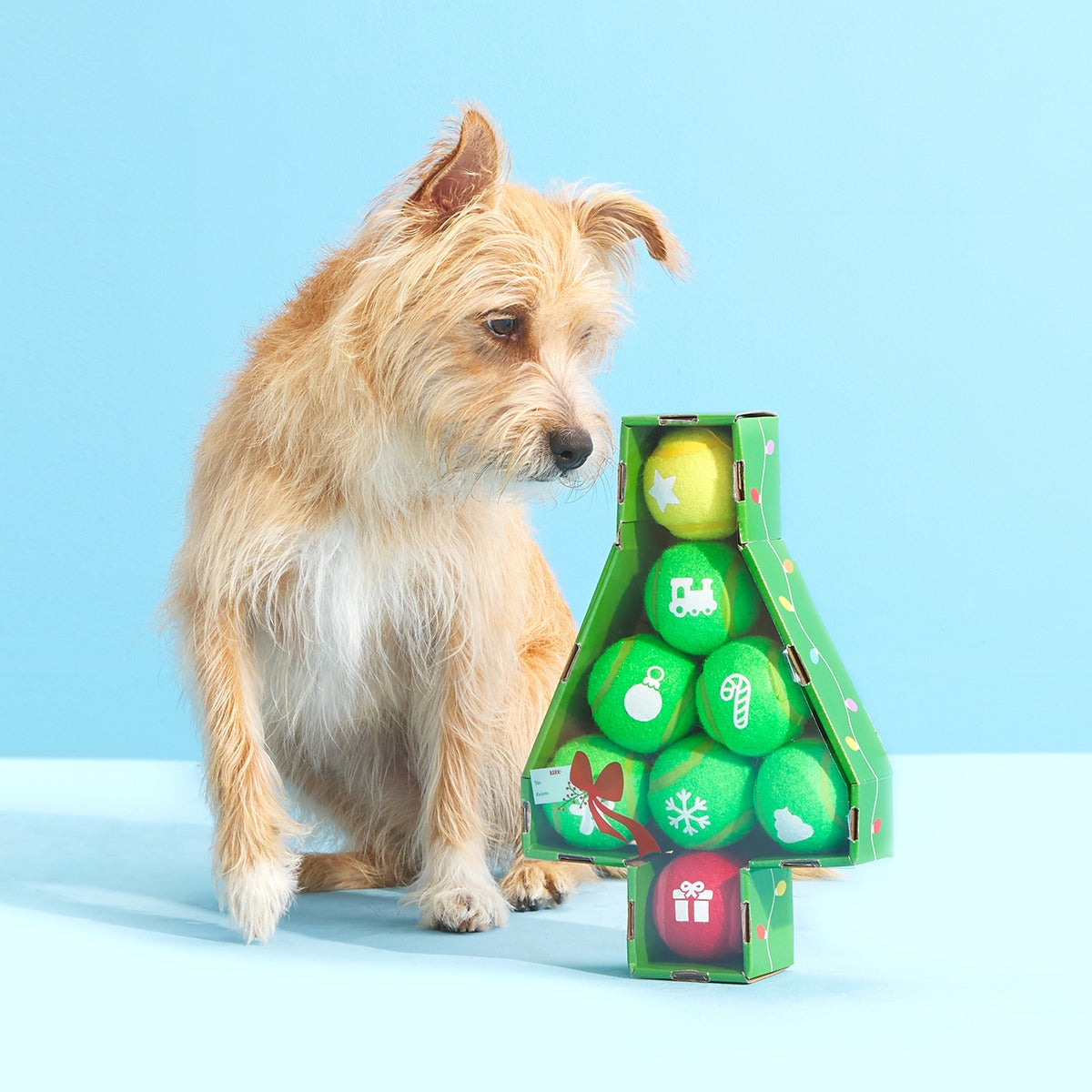 Deck The Balls Plush 8 Squeaky Tennis Balls Fetch Dog Toy