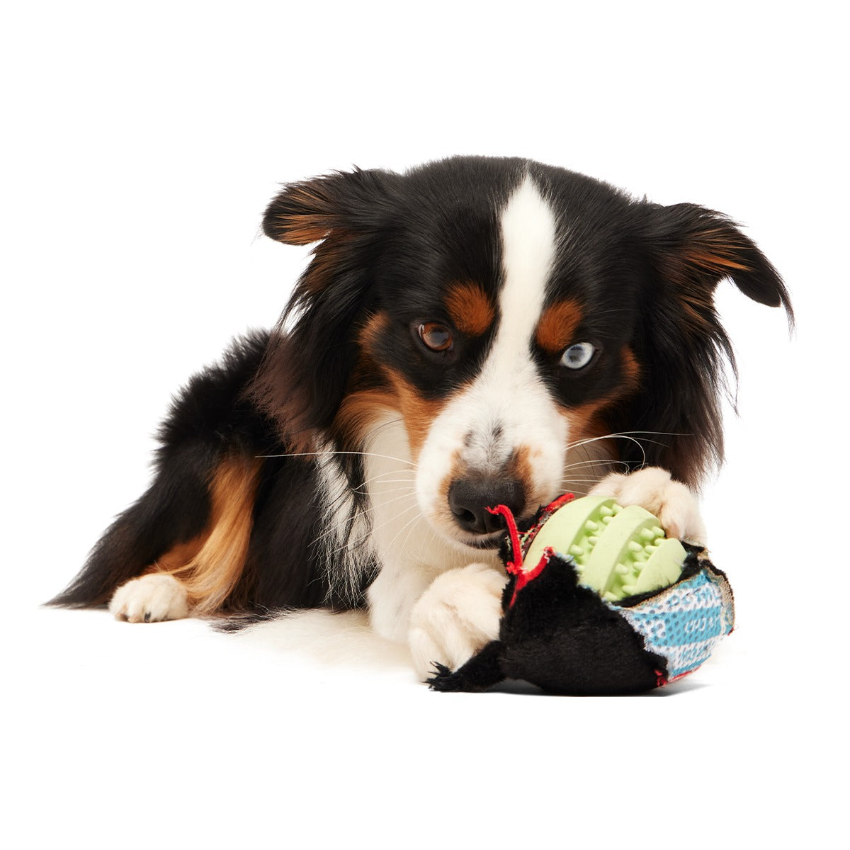 The Nightmeower Super Chewer Durable 2-in-1 + Fetch + Enrichment Dog Toy