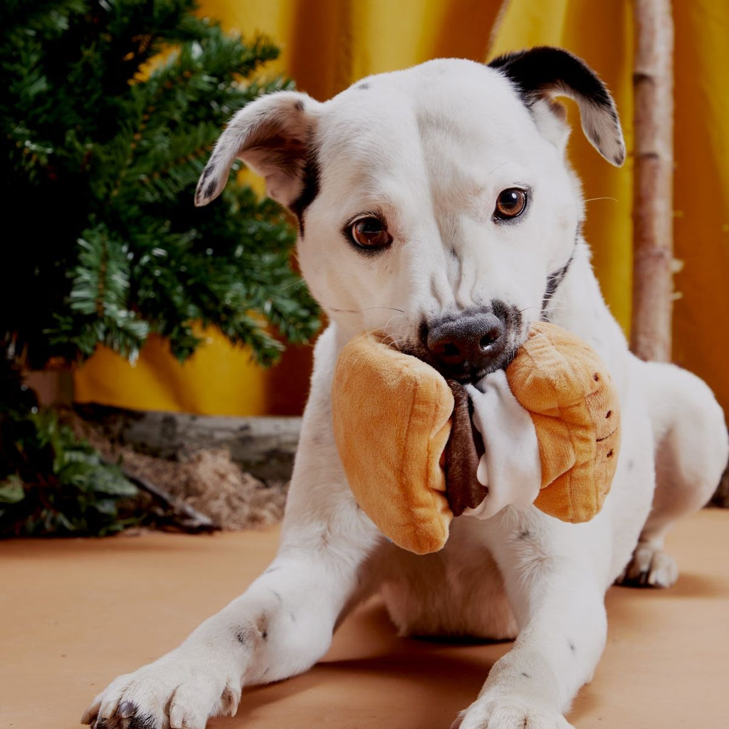More S'mores Plush Tug Dog Toy