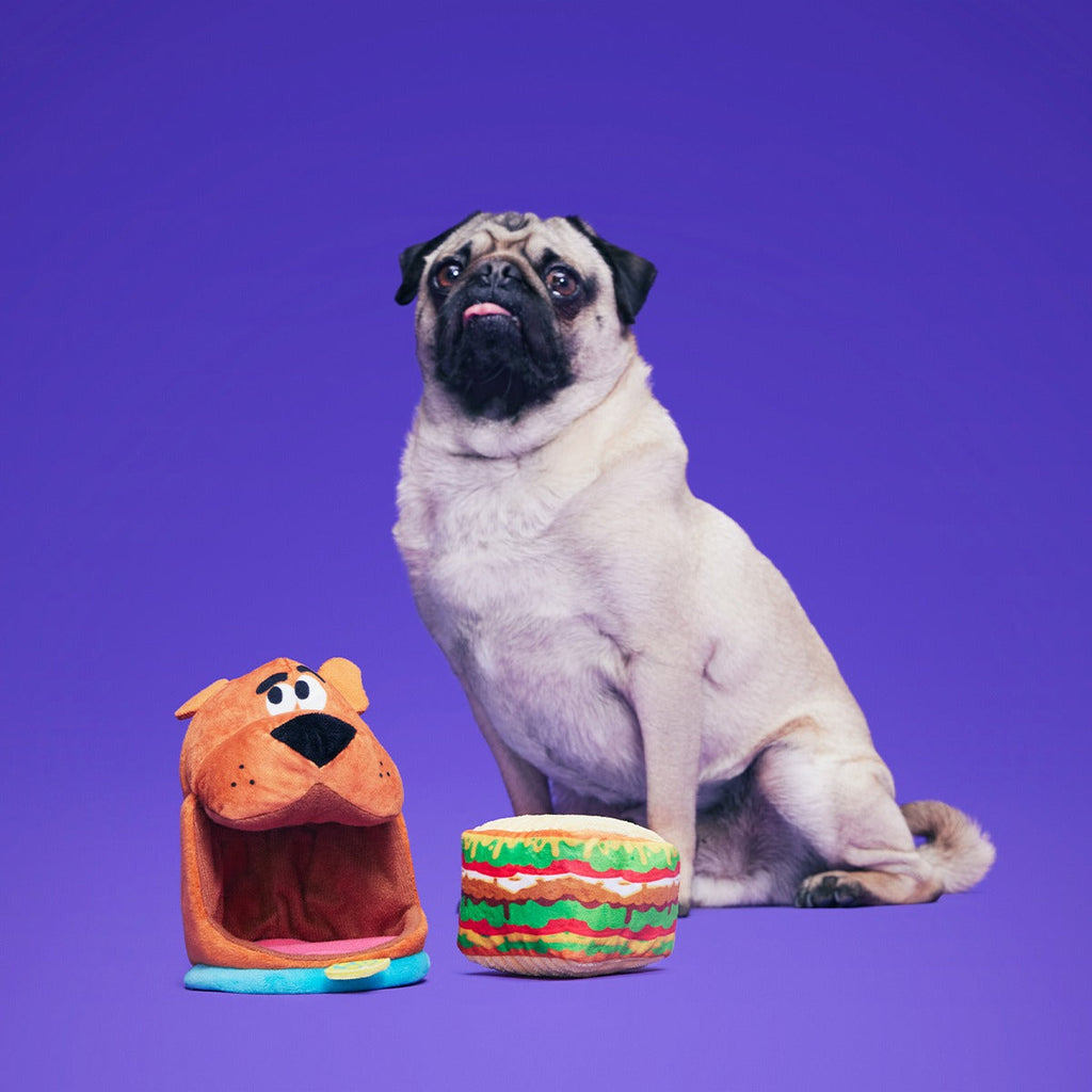 Snackin' ScoobyTM Plush Multi-Part + Enrichment Dog Toy