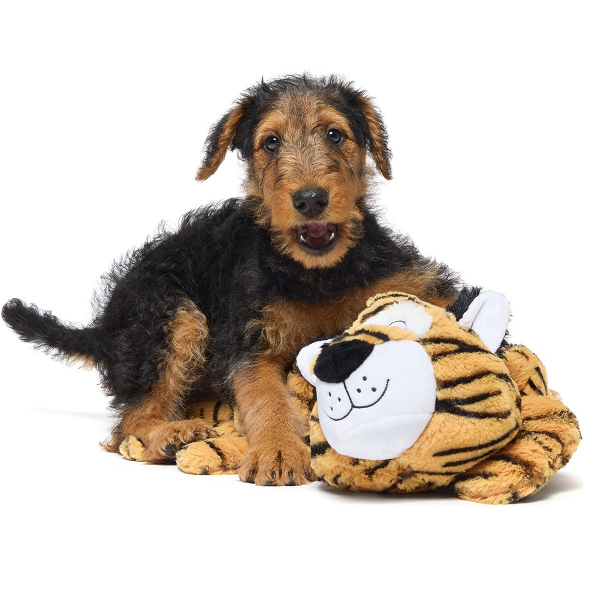 Benji the Bouncing Tiger Plush Extra-Large + Tug Dog Toy