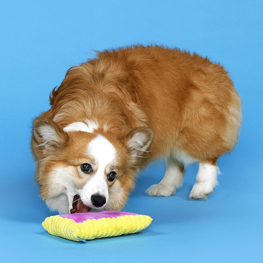 Pup Tart Plush Tug Dog Toy