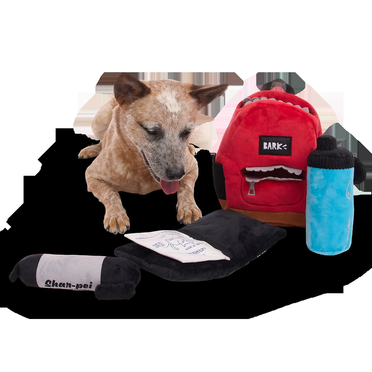 Teacher's Pet Backpack Plush Extra-Large + Multi-Part + Enrichment Dog Toy