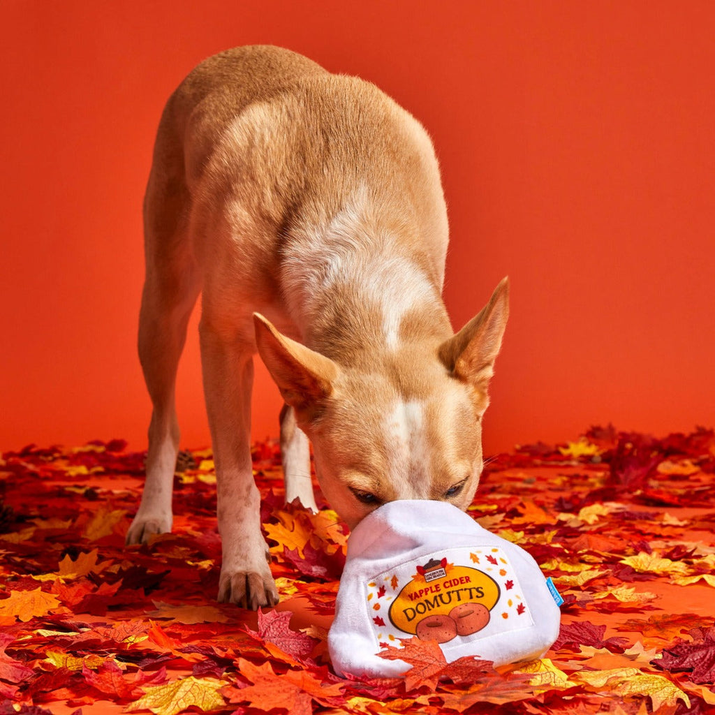 Apple Cider Domutts Plush Multi-Part + Enrichment Dog Toy