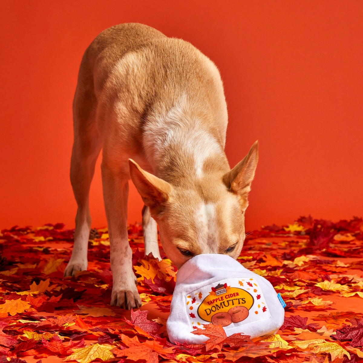 Apple Cider Domutts Plush Multi-Part + Enrichment Dog Toy