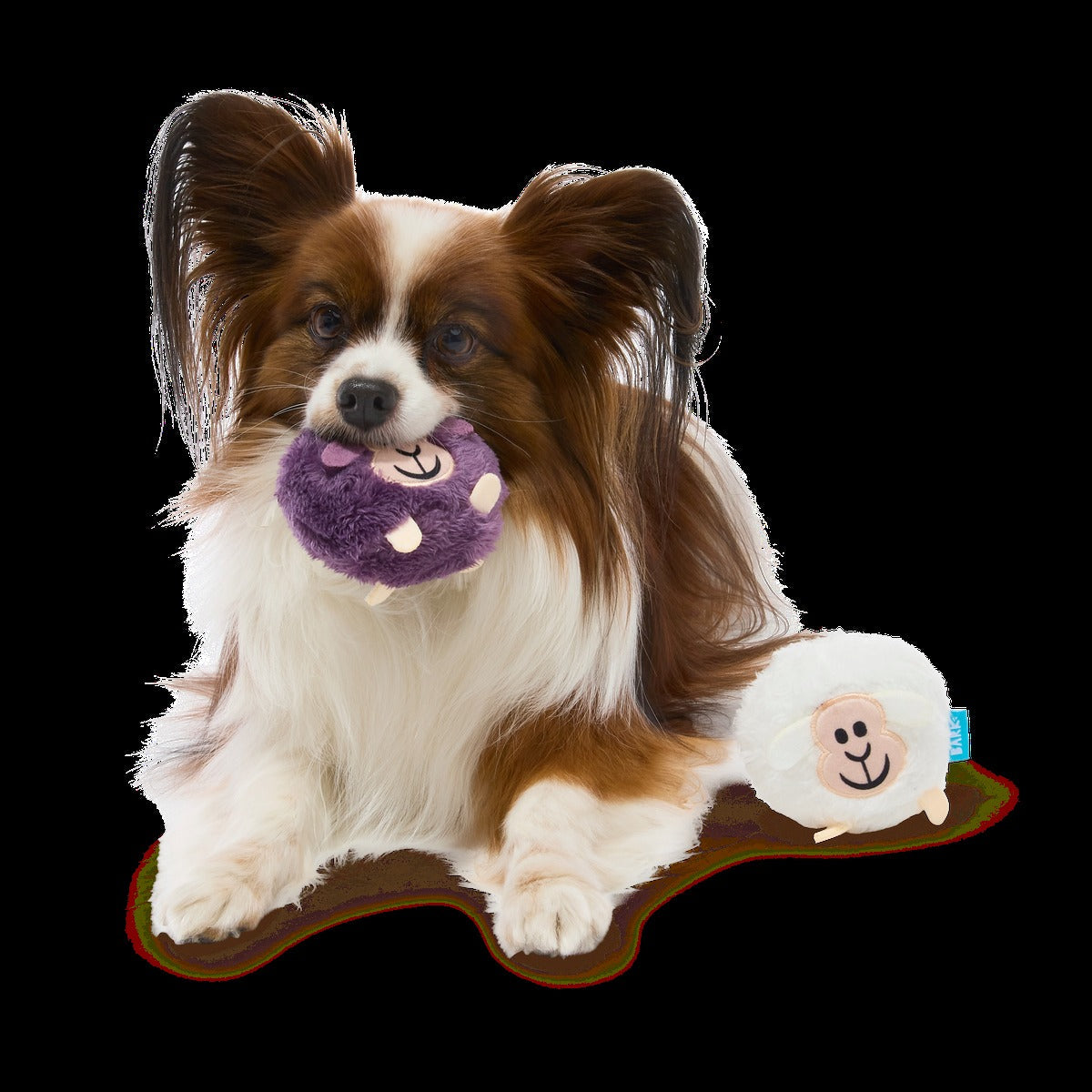 Good Sheep, Baa Sheep Plush Multi-Part + Fetch Dog Toy