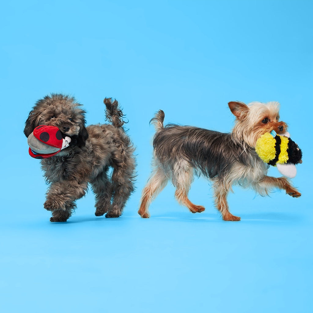 Simone & Jean-Paul The Love Bugs Plush Multi-Part + Fetch Dog Toy