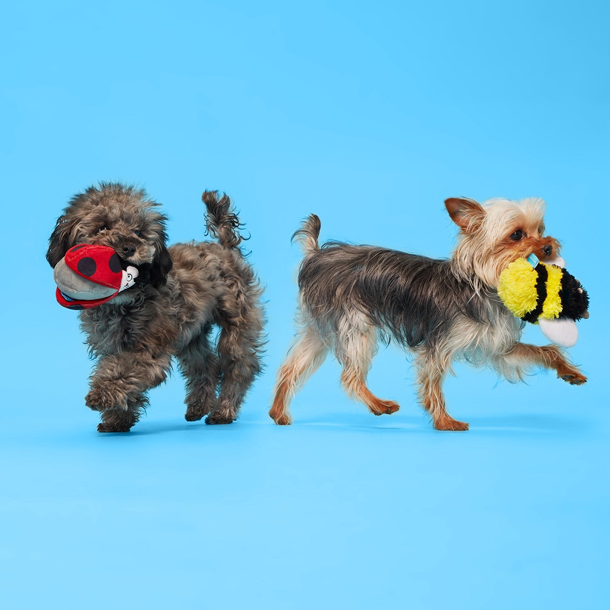 Simone & Jean-Paul The Love Bugs Plush Multi-Part + Fetch Dog Toy