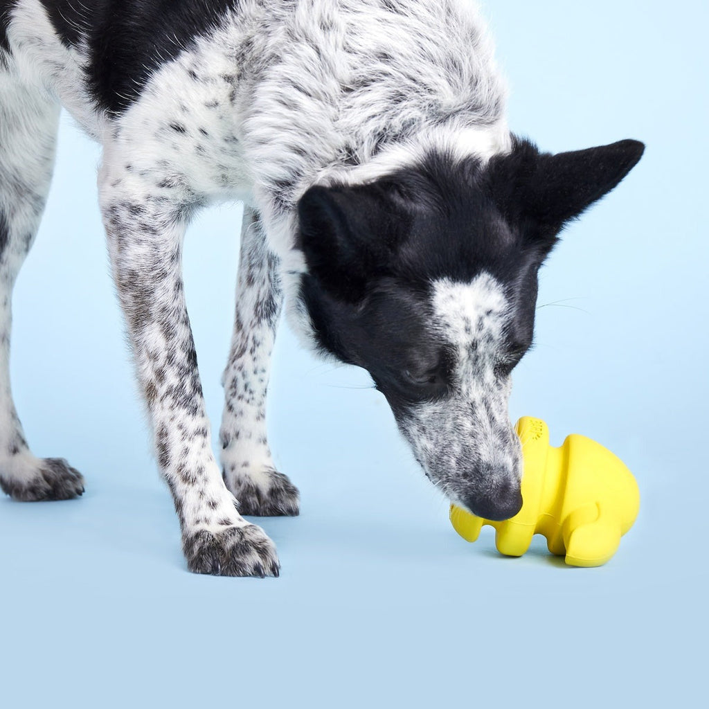 Fowl Play Super Chewer Durable 2-in-1 + Enrichment Dog Toy