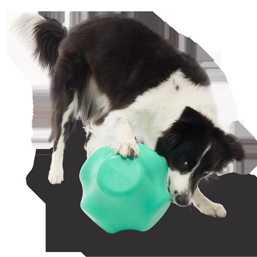 Evergreen Bolder Super Chewer Durable Gnaw Dog Toy