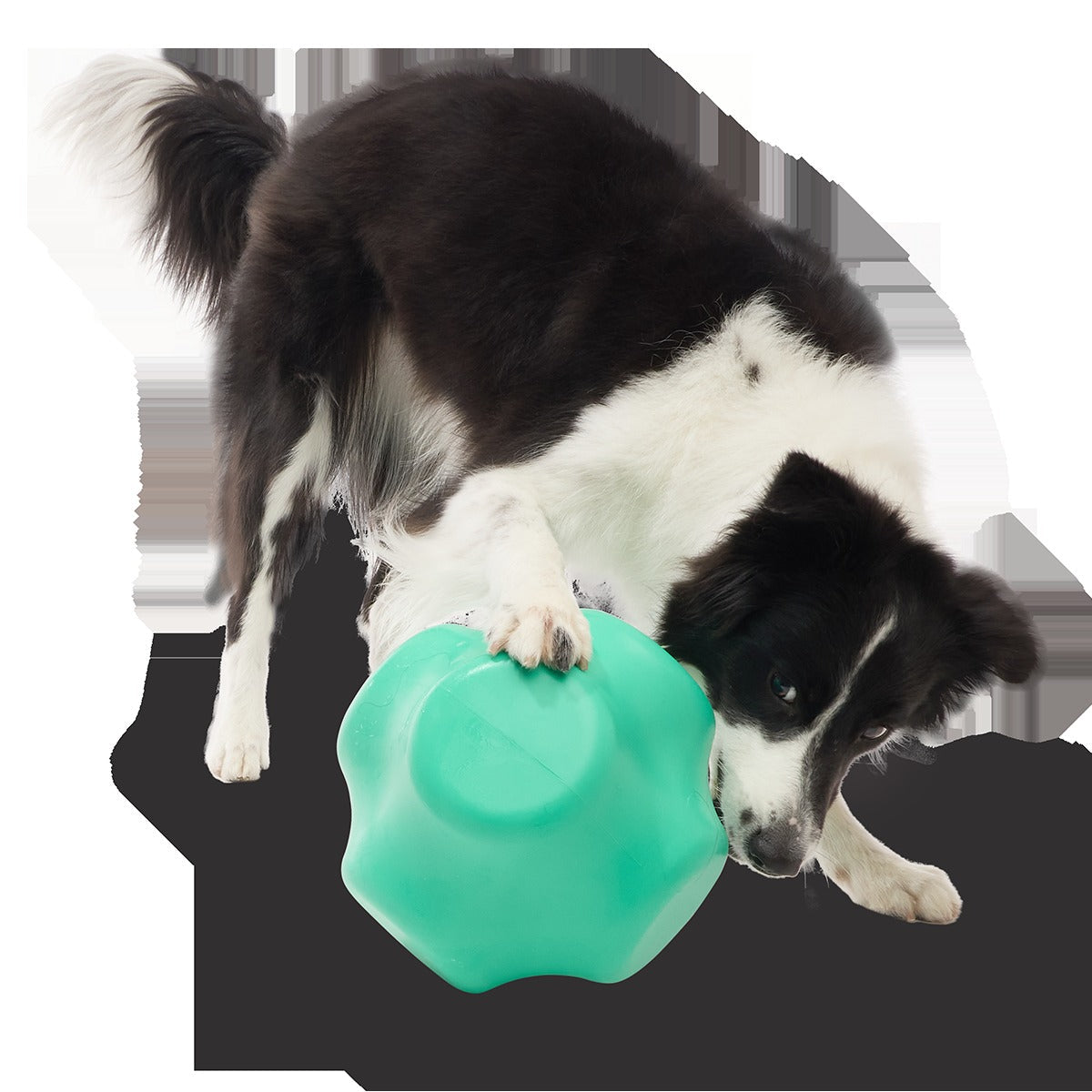 Evergreen Bolder Super Chewer Durable Gnaw Dog Toy