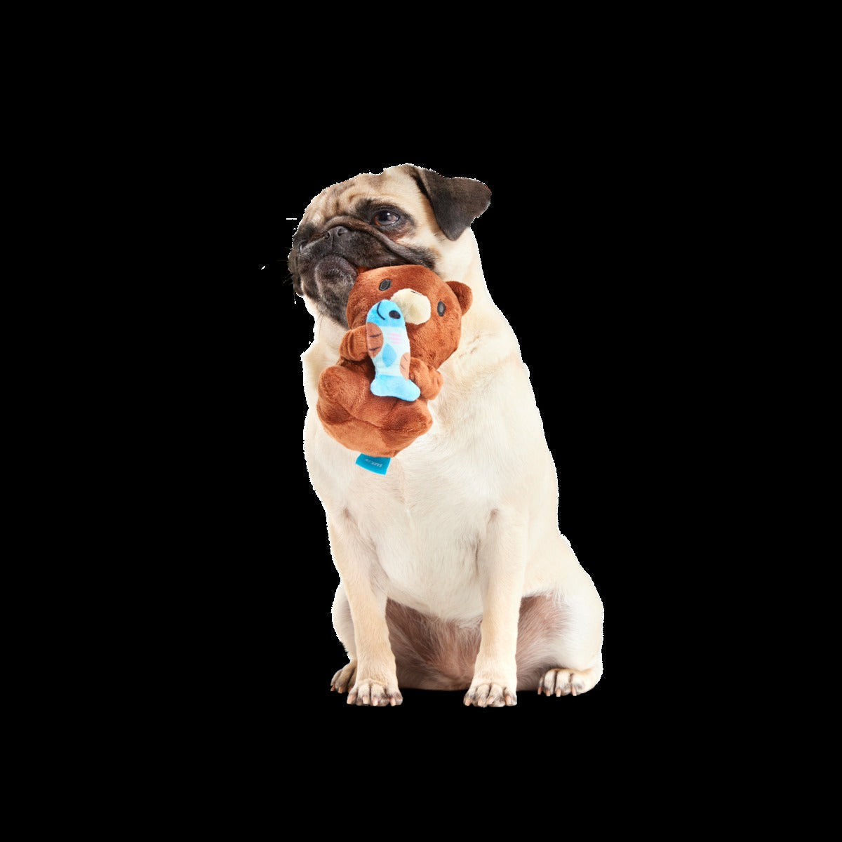 Izzy the Grizzly & Sal Plush Tug Dog Toy