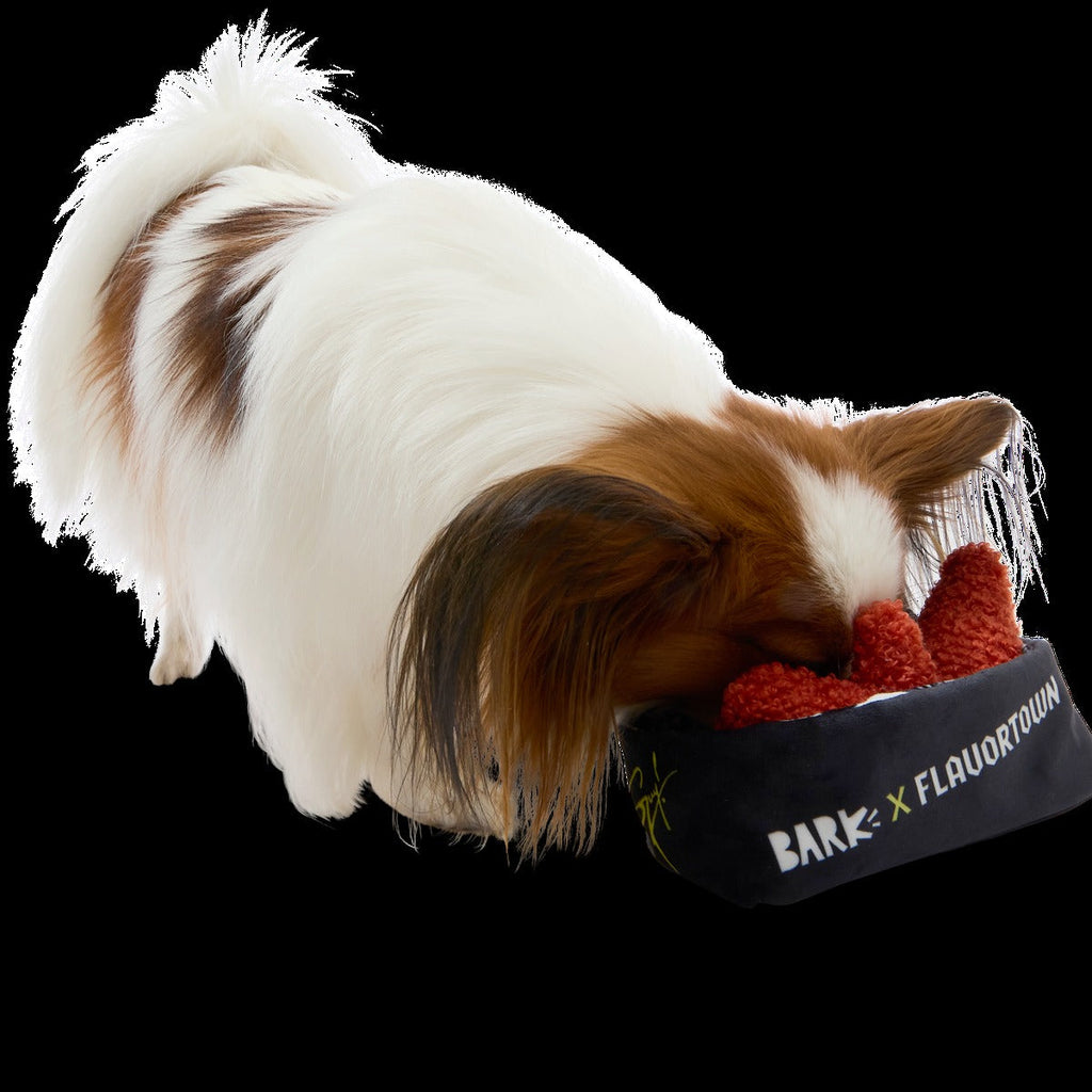 Flavgrrrtown Wings Plush Multi-Part + Enrichment Dog Toy