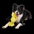 Woodstockula Plush Extra-Large + Tug Dog Toy