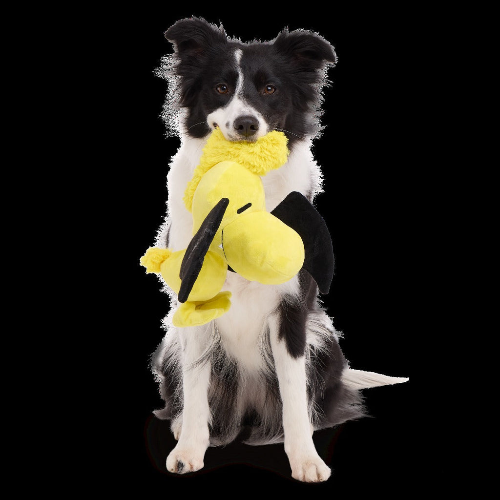 Woodstockula Plush Extra-Large + Tug Dog Toy