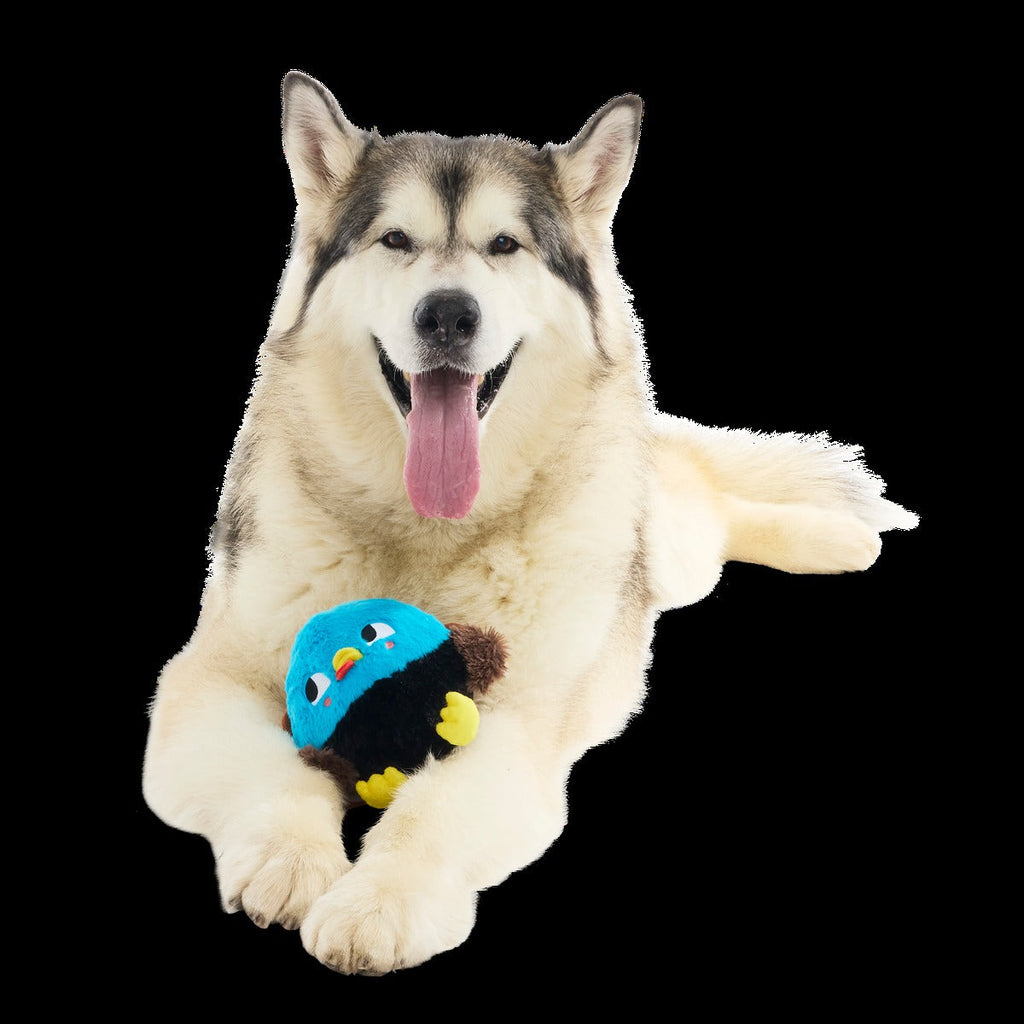 The Pecking Order Plush Multi-Part Dog Toy