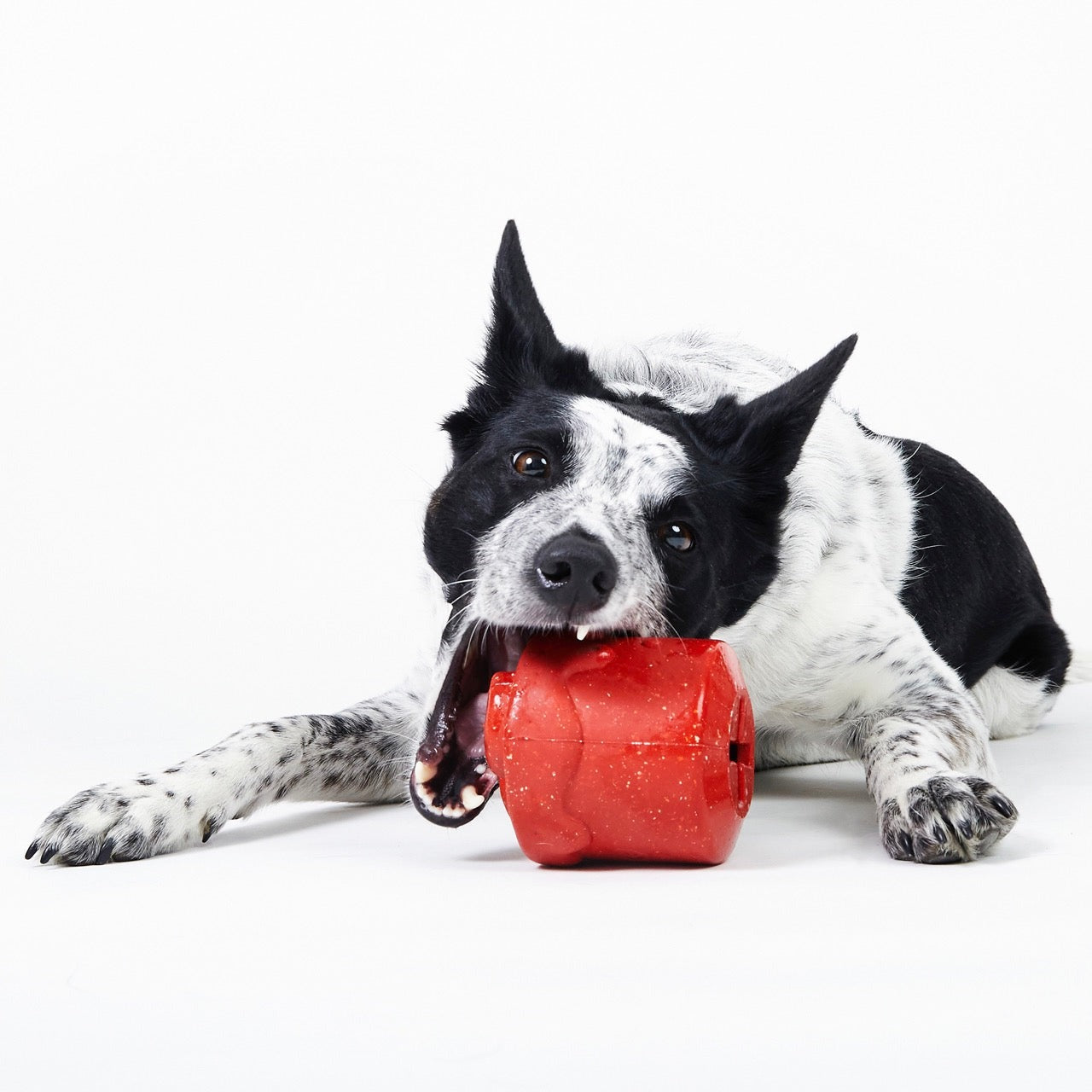 Meghan’s Mug of Cocoa Super Chewer Durable Enrichment Dog Toy