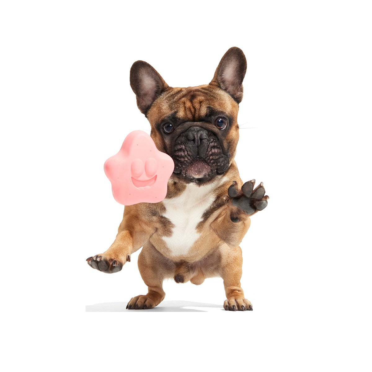 Goofy Goober Patrick Super Chewer Durable Fetch Dog Toy