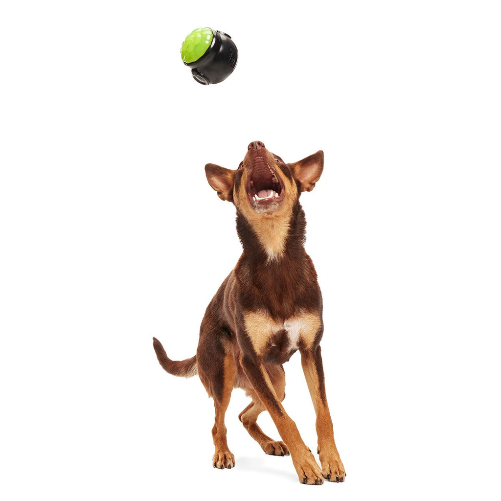 Gnawldron Super Chewer Durable Enrichment Dog Toy