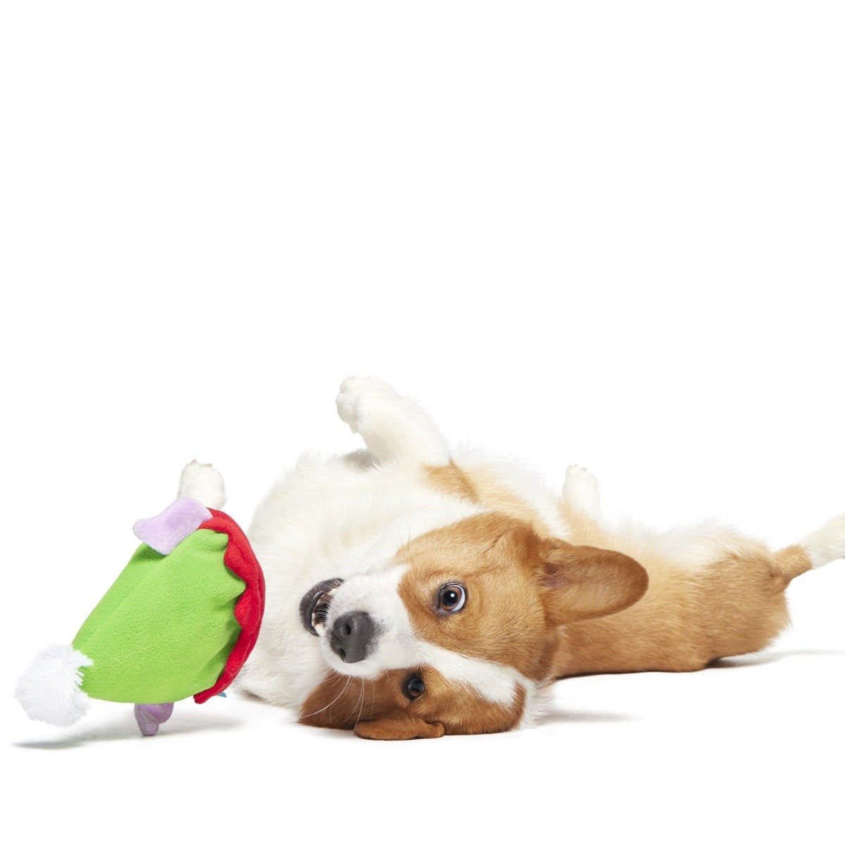Santa's Little Yelper Plush Wearable Dog Toy