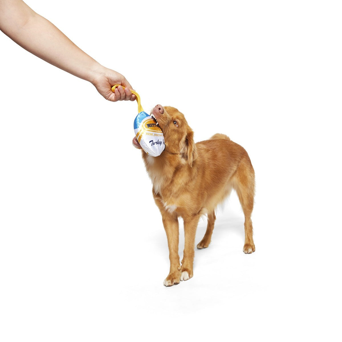 Mutterball Turkey Durable Super Chewer 2-in-1 Rip and Reveal + Tug Dog Toy
