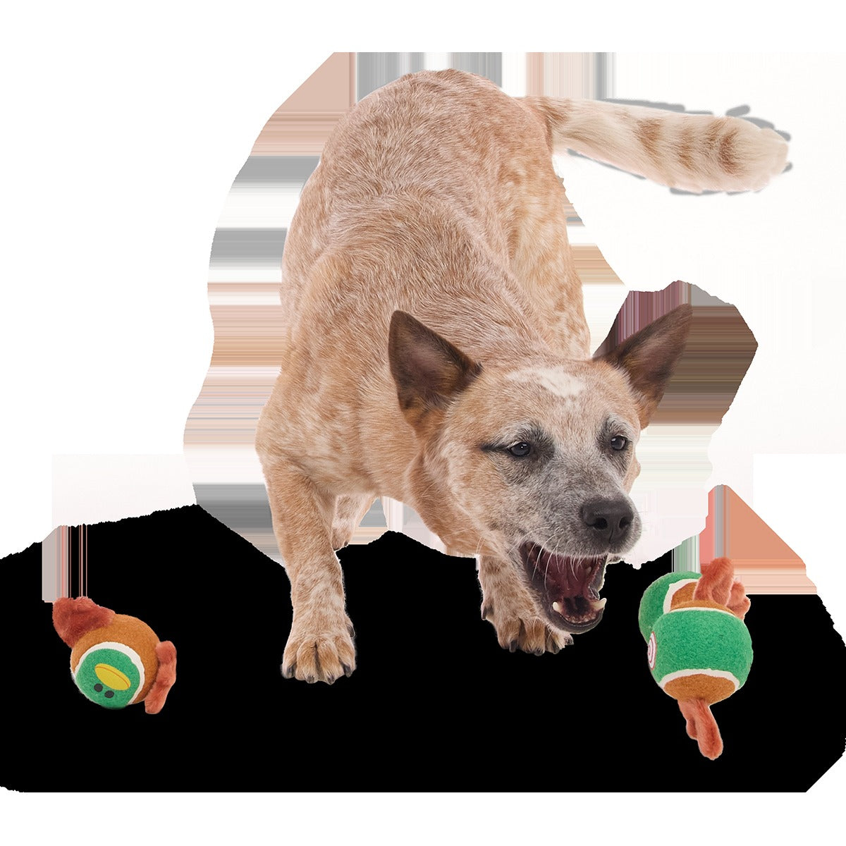 Tennis Ball Club, 3 Squeaky Monthly Tennis Ball Dog Toys