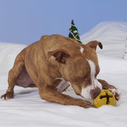 Reindeer GamesTM Rudolph® Durable Super Chewer Enrichment + 2-in-1 Rip and Reveal Dog Toy