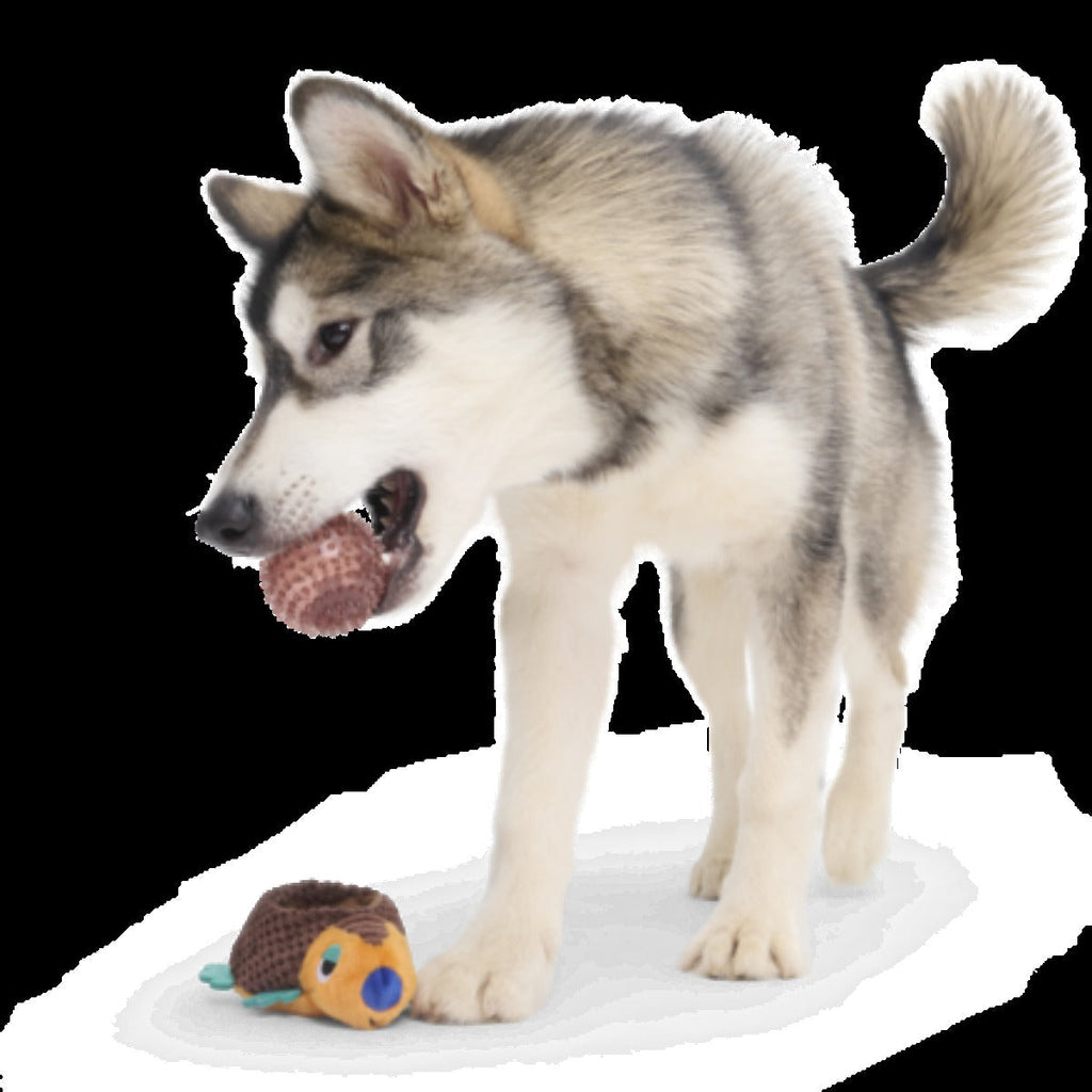 Don The Glyptodon Plush Multi-Part Dog Toy