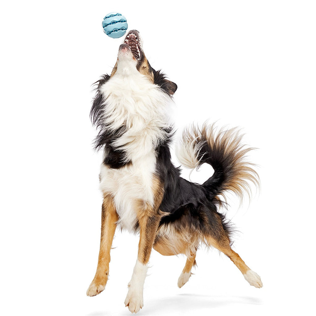 Jawball Super Chewer Durable Fetch + Enrichment Dog Toy