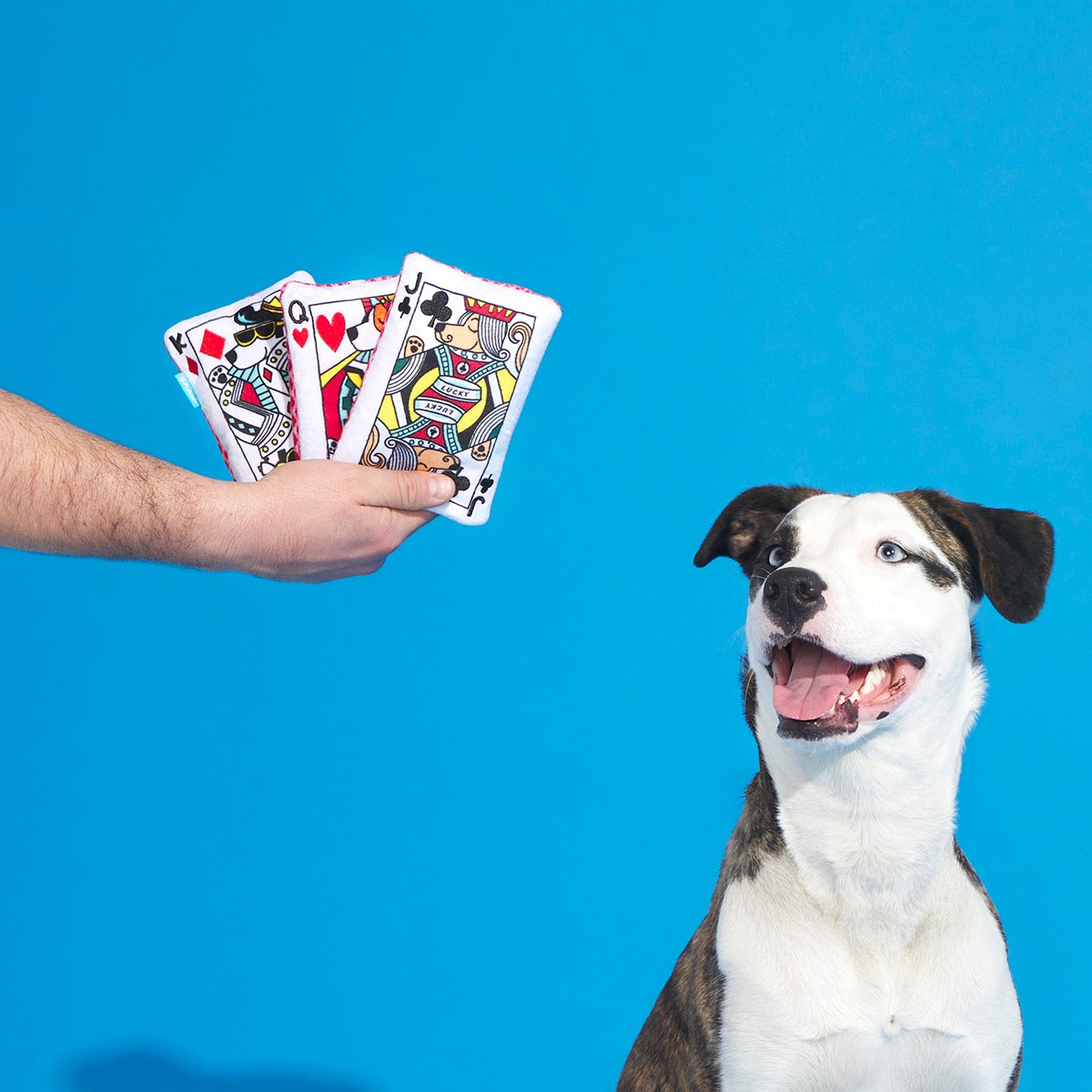 Barkjack