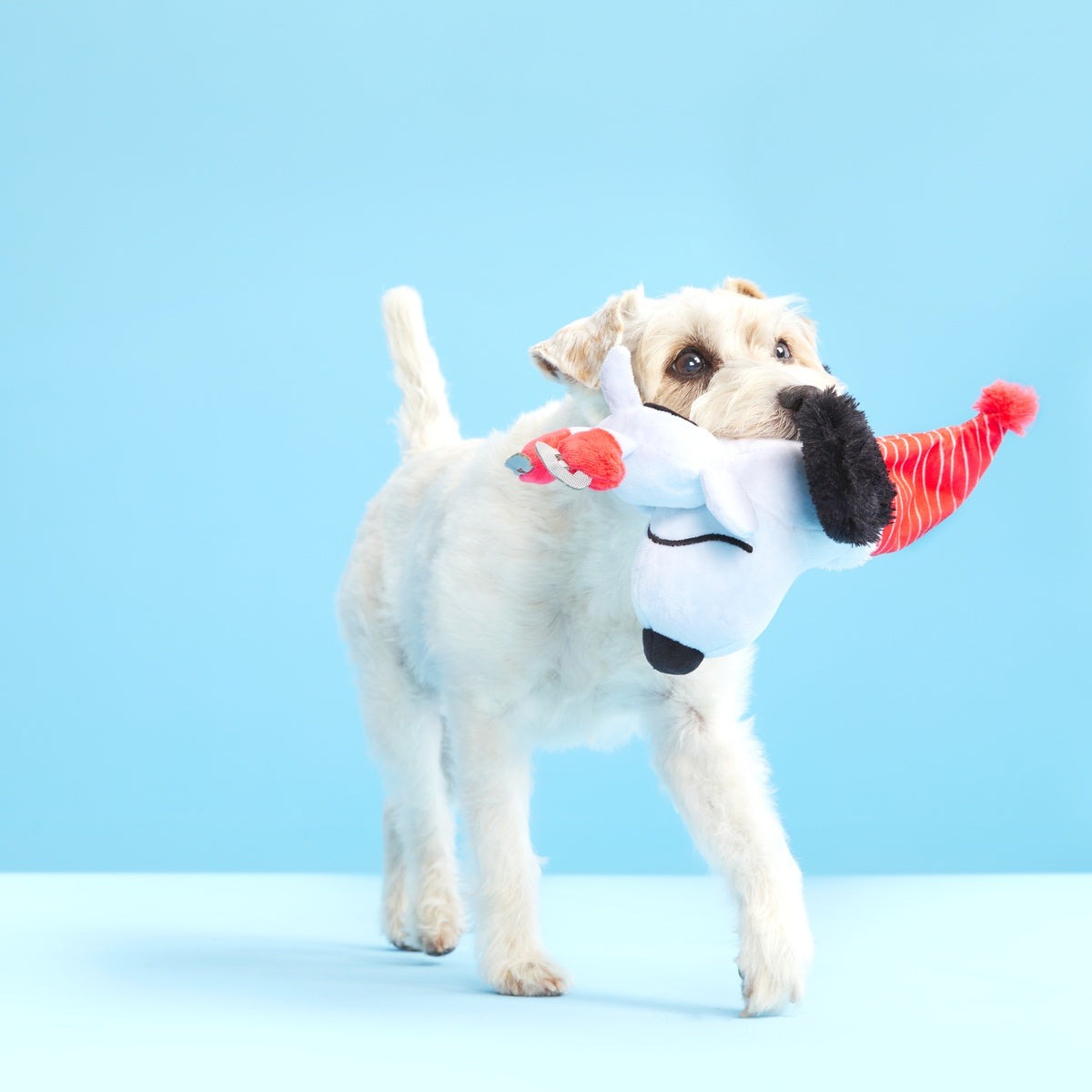 Skating Snoopy Tug Dog Toy