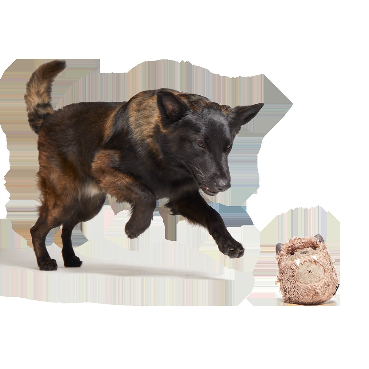 Hairwolf Super Chewer Durable 2-in-1 + Enrichment Dog Toy